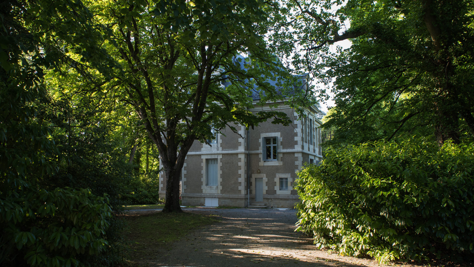 Le Castel à Lussac-les-Châteaux, nuits au château, le domaine